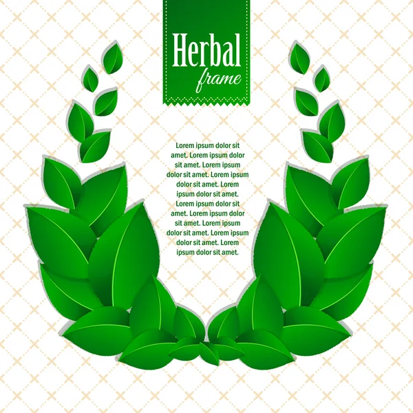 Gyógynövény eco koszorú természetes zöld levelek — Stock Vector