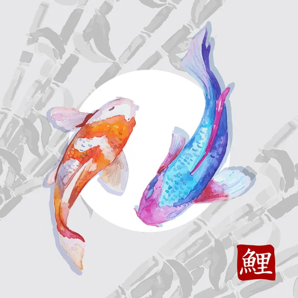 Japon suluboya carps koi yüzme. Kaligrafi erkek.