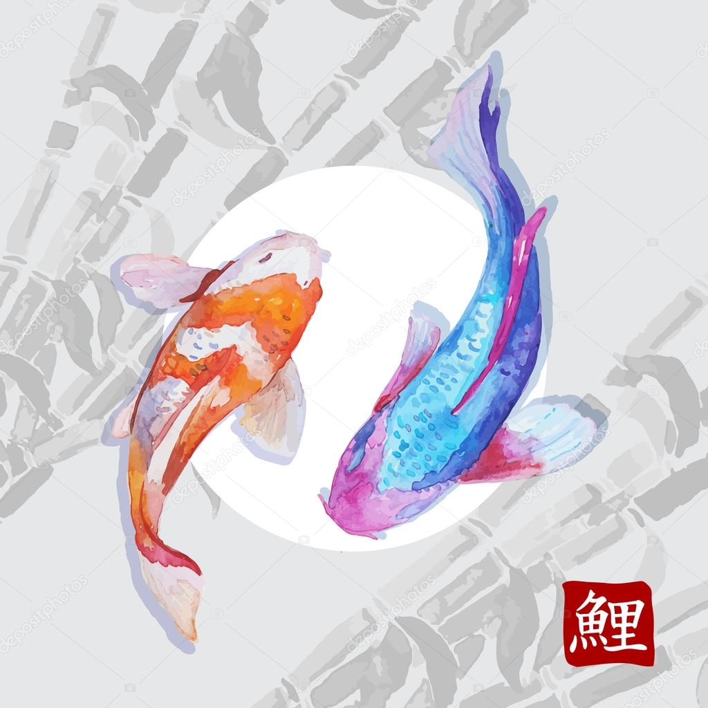 Japanese watercolor carps koi swimming. Calligraphic simbol.