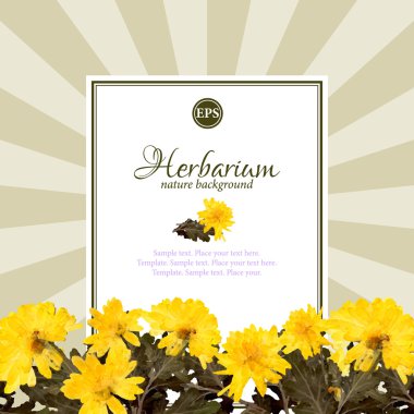 Spring nature background with yellow flowers clipart