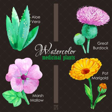 Set of watercolor madicinal plants clipart