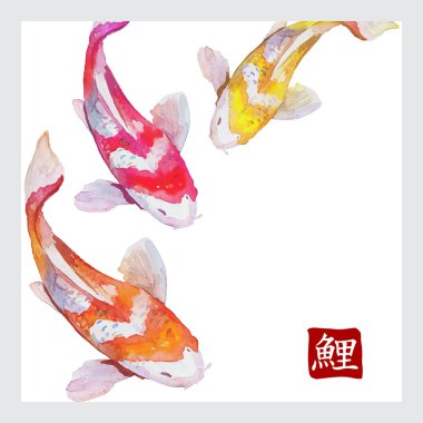 Japon suluboya carps koi yüzme. Kaligrafi erkek.