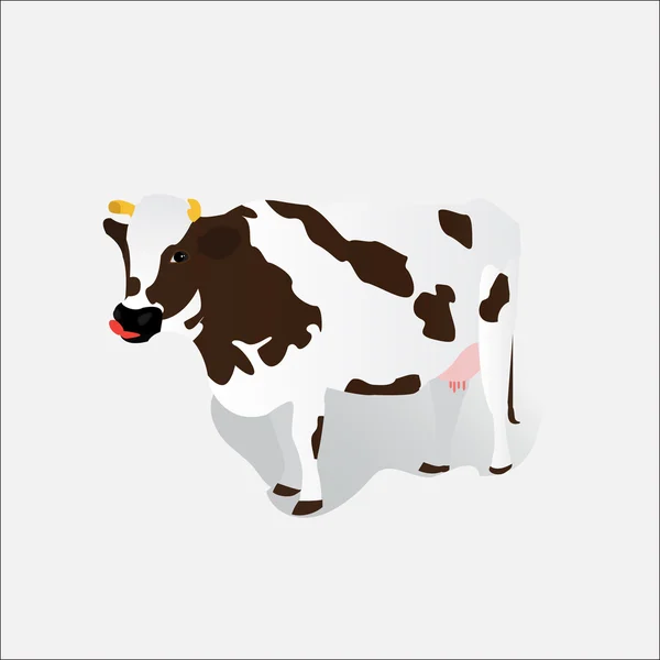 Vache tachetée vectorielle isolée — Image vectorielle