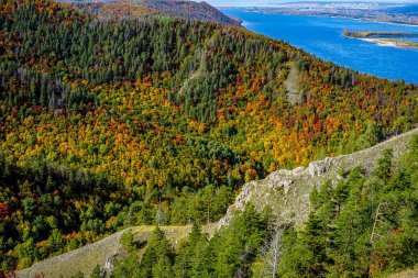 Strelnaya Dağı. Zhigulevsk.Samara bölgesi, Rusya. Samarskaya Luka parkı. Rezervasyon. Zhigulevskie Dağları.