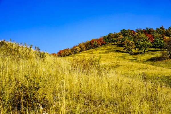 Klosterberget Staden Zhigulevsk Samara Regionen Ryssland Park Samarskaya Luka Reserv — Stockfoto