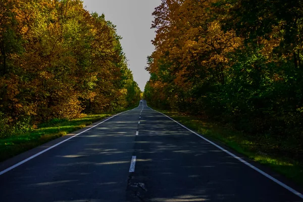 Samara bölgesi, Rusya. Samarskaya Luka parkı. Rezervasyon. Zhigulevskie Dağları.