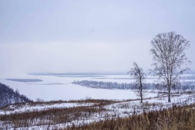 Rusya 'da kışın doğa