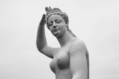 Vyborg şehrinde tür heykeli.