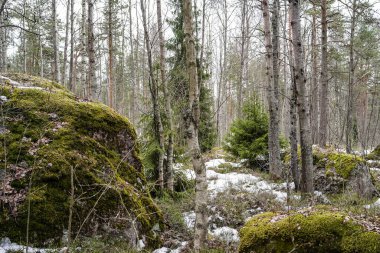 Terk edilmiş su kulesinin yanına park et.