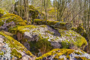 Papulsky parkındaki su kulesinin granit binası, Vyborg şehrinin orta küçük bir bölgesinde bulunan Granit Tepe Papule 'de bir parktır..
