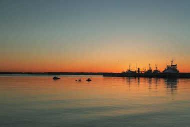 Vyborg Körfezi (Viipurinlahti), Finlandiya 'nın Baltık Denizi Körfezi' nin kuzeyinde yer alan bir körfezdir..