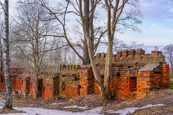 Fortificazioni Vyborg Orientale Complesso Strutture Difensive Altezze Est Della Parte — Foto Stock