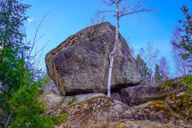 Mon Repos, Leningrad Bölgesi 'nde Vyborg şehrinin kuzeyindeki Tverdysh Adası' nda, Zashchitnaya Körfezi kıyısında kayalık bir peyzaj parkı..