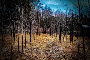 Mon Repos, Leningrad Bölgesi 'nde Vyborg şehrinin kuzeyindeki Tverdysh Adası' nda, Zashchitnaya Körfezi kıyısında kayalık bir peyzaj parkı..