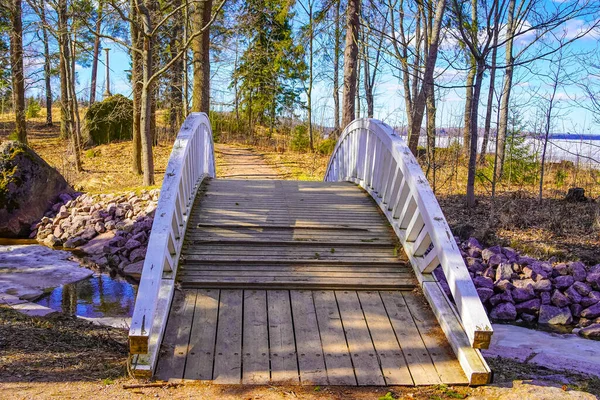 Mon Repos Parco Naturale Roccioso Sulle Rive Della Baia Zashchitnaya — Foto Stock