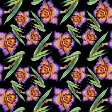 çiçek açan nergis çiçekleri