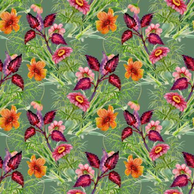 Bahçe çiçek çiçeklenme