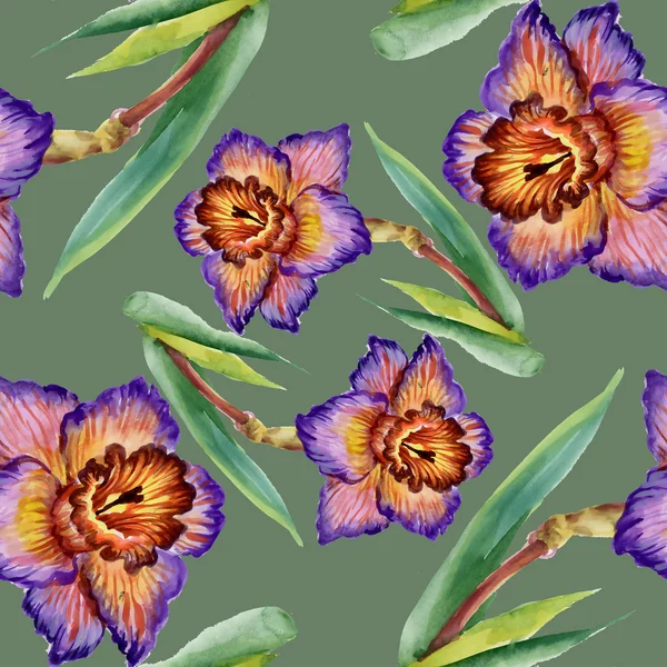 Flor narciso flores — Fotografia de Stock