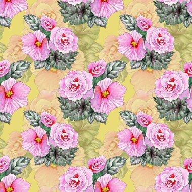 Çiçek açan gül çiçek