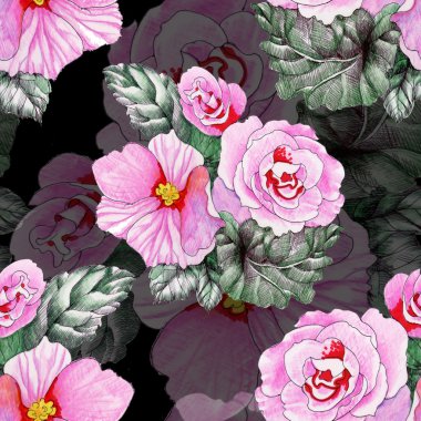 Çiçek açan gül çiçek