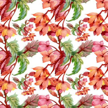 çiçek açan hibiscus çiçek