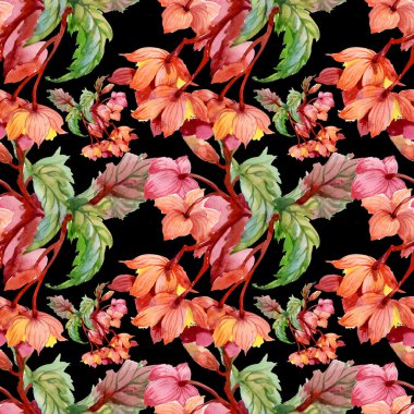 çiçek açan hibiscus çiçek