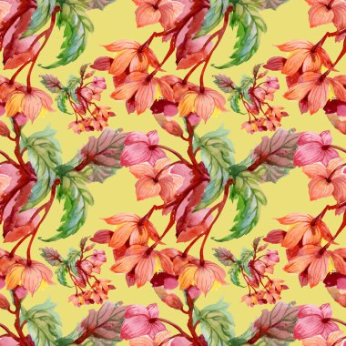 çiçek açan hibiscus çiçek