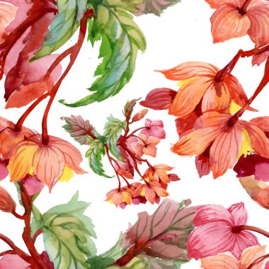 çiçek açan hibiscus çiçek