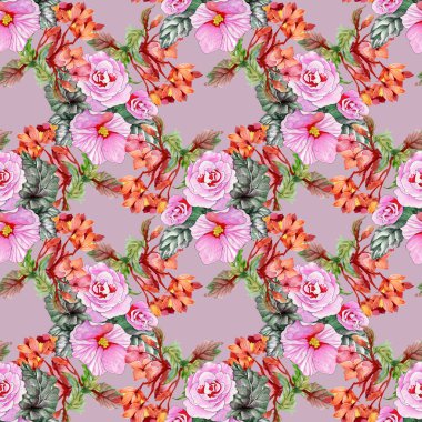 çiçek açan gül ve hibiscus çiçek