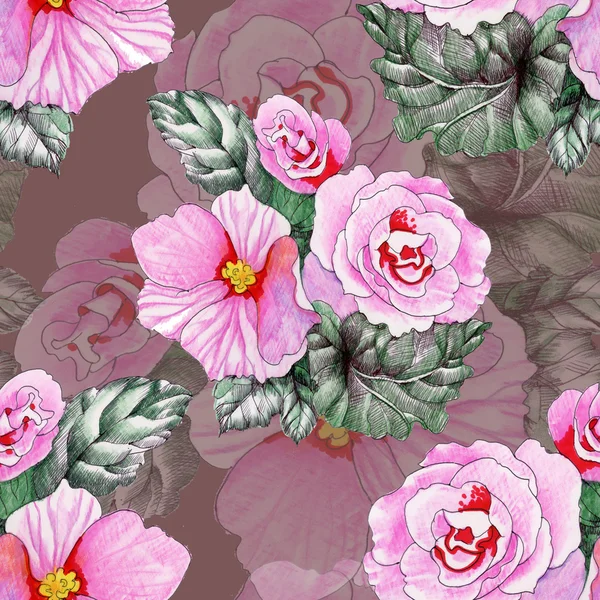 Fiori di rose in fiore — Foto Stock
