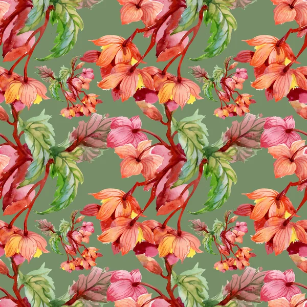 Fioritura fiori di ibisco — Foto Stock