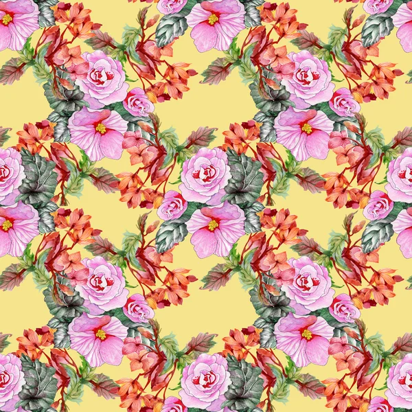 çiçek açan gül ve hibiscus çiçek