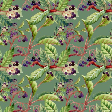 dalları, yaprakları ve yabani meyveleri