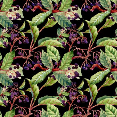 dalları, yaprakları ve yabani meyveleri