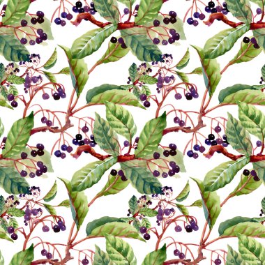 dalları, yaprakları ve yabani meyveleri