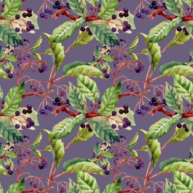 dalları, yaprakları ve yabani meyveleri