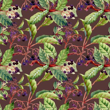 dalları, yaprakları ve yabani meyveleri