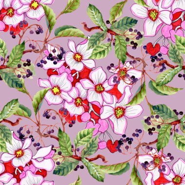 yabani çilek yaprak ve çiçek