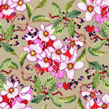 yabani çilek yaprak ve çiçek