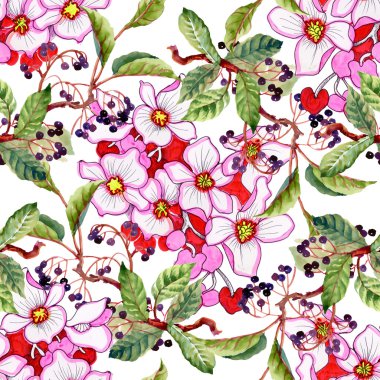 yabani çilek yaprak ve çiçek