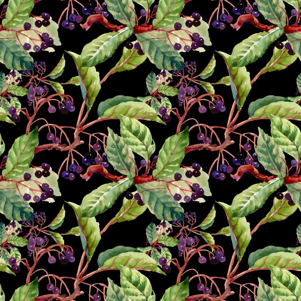 dalları, yaprakları ve yabani meyveleri