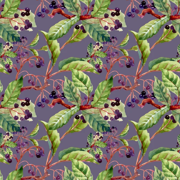 dalları, yaprakları ve yabani meyveleri