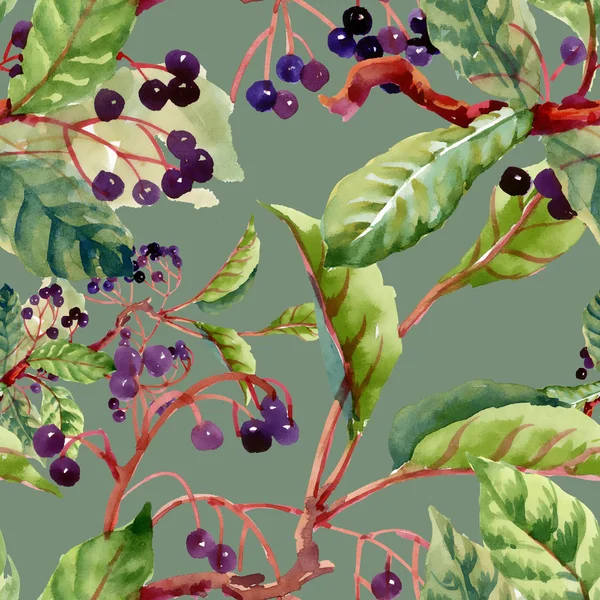 Branches, leaves and wild berries — Stock Photo, Image