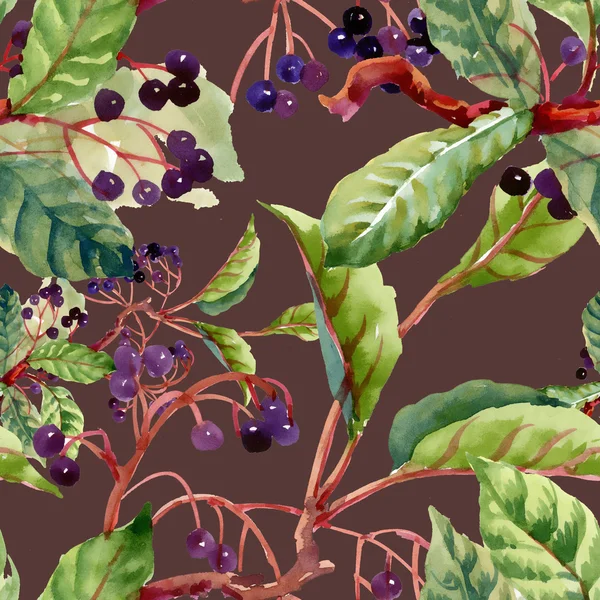 Rami, foglie e frutti di bosco — Foto Stock