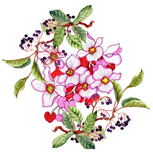 Blätter und Blüten der wilden Beeren — Stockfoto