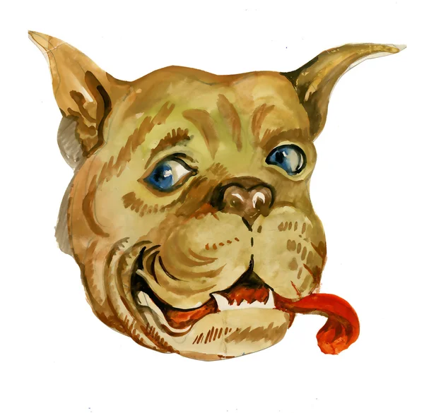 Bulldog munkorg illustration — Stockfoto