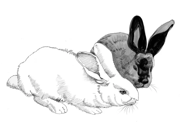 Sketched rabbits illustration — Stock Photo, Image