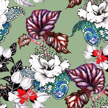 çiçek açan hibiscus çiçek