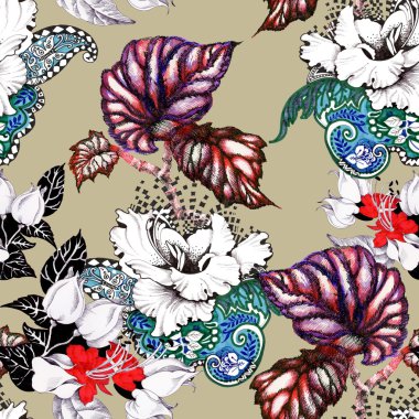 çiçek açan hibiscus çiçek