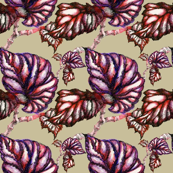 garden coleus leaves pattern